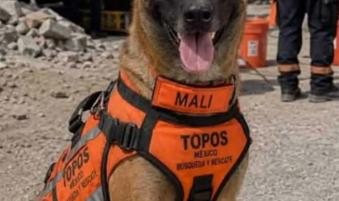 Mali, símbolo de esperanza para encontrar vidas