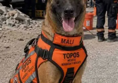 Mali, s&iacute;mbolo de esperanza para encontrar vidas