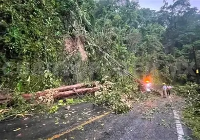 Causan vientos afectaciones en el Soconusco Causan vientos afectaciones en el Soconusco