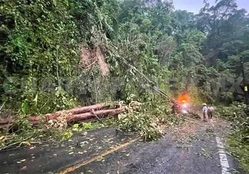Causan vientos afectaciones en el Soconusco Causan vientos afectaciones en el Soconusco
