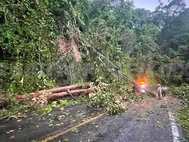 Causan vientos afectaciones en el Soconusco