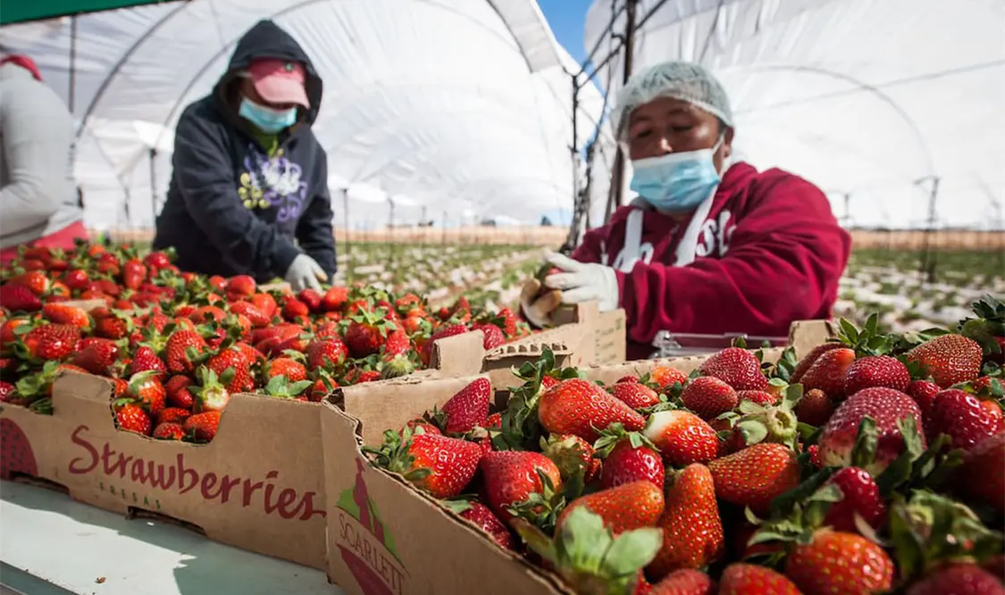 Mantienen escenario favorable en tratado de comercio