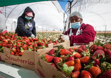 Mantienen escenario favorable en tratado de comercio