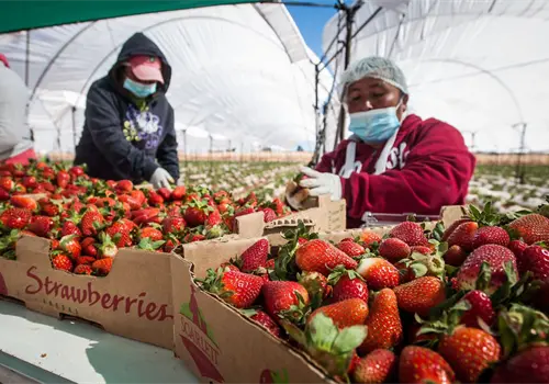 Mantienen escenario favorable en tratado de comercio