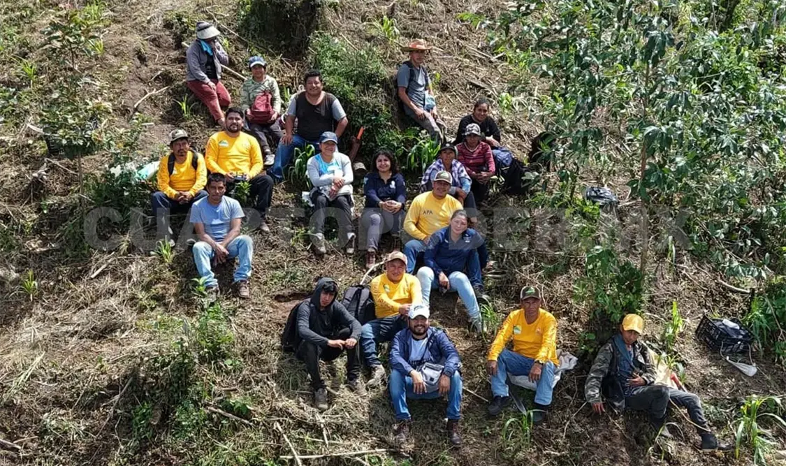Se trata de una estrategia integral para recuperar ecosistemas forestales degradados. Cortesía