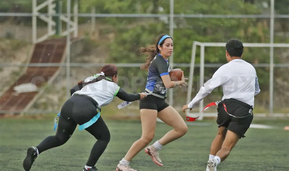 Luego de diez semanas de temporada regular, cuatro equipos se mantienen en la pelea por el campeonato. Cortesía