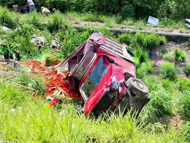 Camioneta cargada con tomate vuelca Camioneta cargada con tomate vuelca