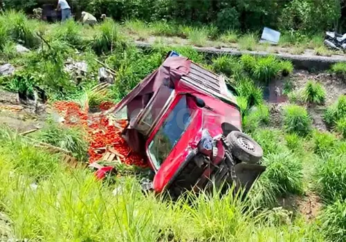 Camioneta cargada con tomate vuelca