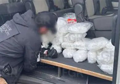 Investigan envenenamiento de 13 perros Investigan envenenamiento de 13 perros