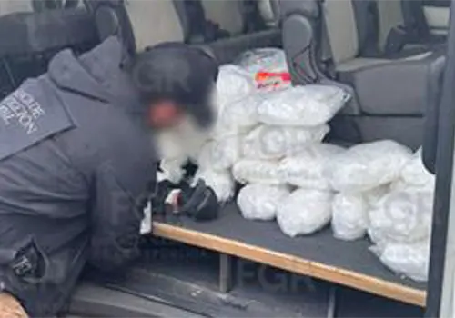 Investigan envenenamiento de 13 perros