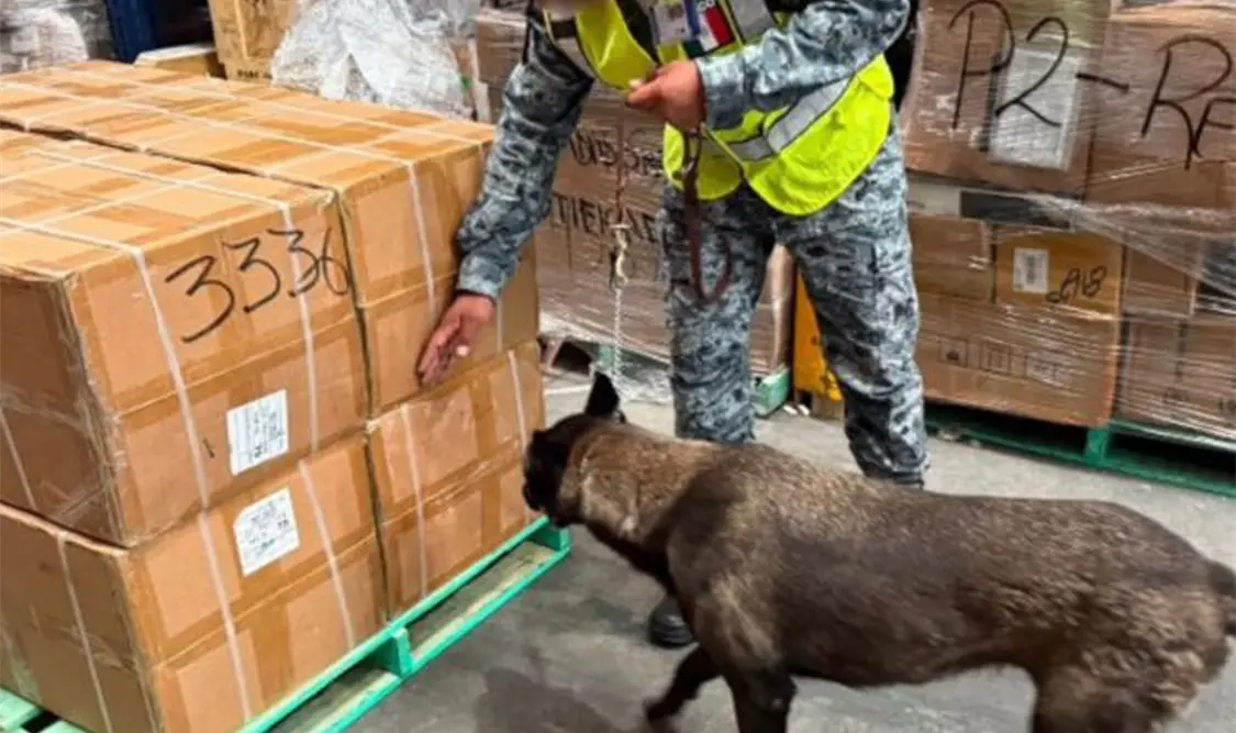 En el AIFA suman más de 88 toneladas de cigarrillos apócrifos asegurados. Cortesía