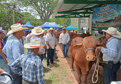 Anuncian plan conjunto de atención al campo Anuncian plan conjunto de atención al campo