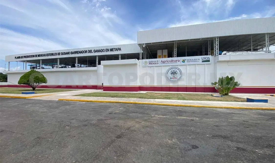 Recientemente se inauguró la planta productora de moscas estériles en el municipio de Metapa. Cortesía