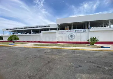 Se debe recuperar estatus sanitario