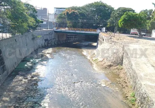 Urge declaratoria del Sabinal como &Aacute;rea Natural