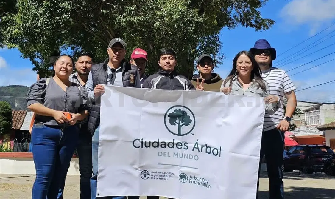 En el primer día los asistentes conocieron el valor de los árboles de la ciudad. Manuel Martínez / CP