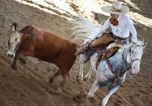 Rancho El Refugio AFA se corona campeón Rancho El Refugio AFA se corona campeón