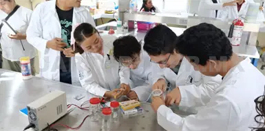 Invitan al mini verano de la investigaci&oacute;n