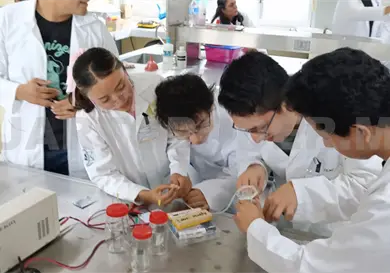 Invitan al mini verano de la investigaci&oacute;n