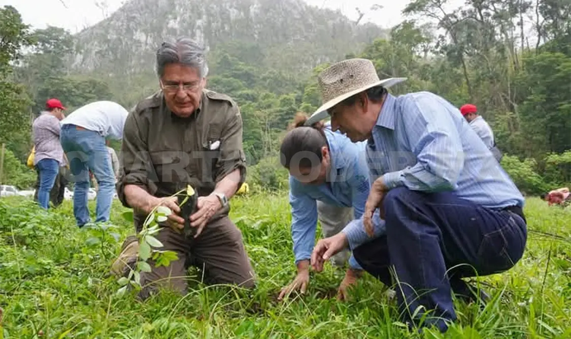 La jornada de reforestación se llevó a cabo en el rancho Veinte Casas. Cortesía