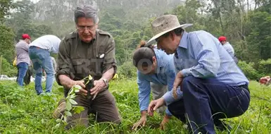 Celebran 25 a&ntilde;os con jornada de reforestaci&oacute;n