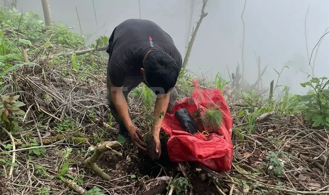 Estas acciones buscan proteger y restaurar ecosistemas y especies prioritarias. Ramón García / CP