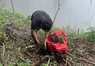 Realizan jornadas de reforestaci&oacute;n