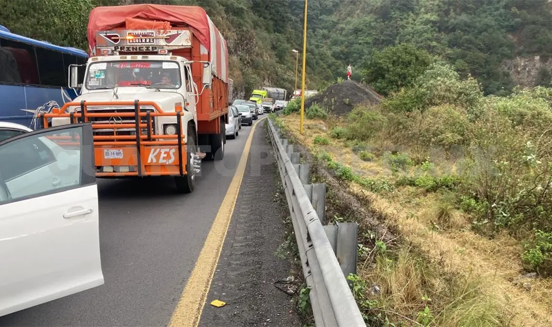 Por el material de las carreteras, estas se vuelven barreras para muchos animales. Jofiel Domínguez / CP