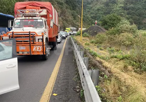El transporte sustentable debe tomar en cuenta a la fauna El transporte sustentable debe tomar en cuenta a la fauna