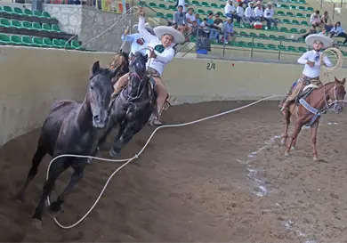 Carlos Rinc&oacute;n Castillo se corona campe&oacute;n estatal