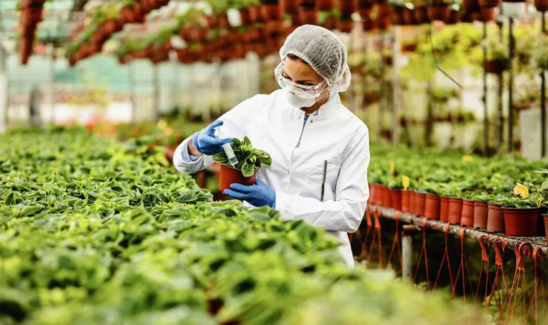 Rechazan restricciones a productos agrícolas