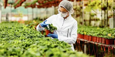 Rechazan restricciones a productos agr&iacute;colas