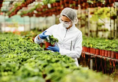Rechazan restricciones a productos agrícolas Rechazan restricciones a productos agrícolas