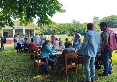 Buscan mejorar cultivos de cacao