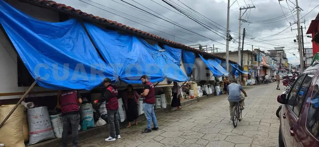 Estas acciones se realizaron en atención a una solicitud de los propios habitantes de la colonia. Cortesía