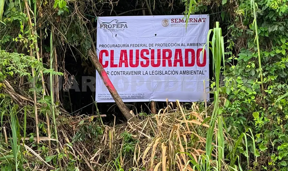 Los predios no contaban con las autorizaciones correspondientes de la Semarnat. Cortesía