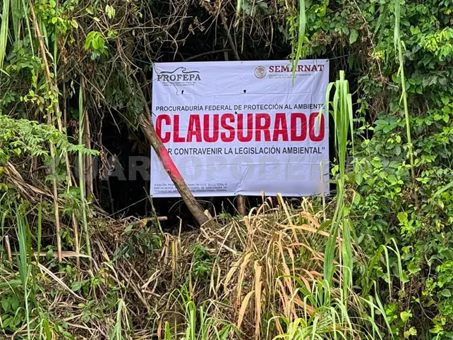Clausuran predios por cambio ilegal de uso de suelo