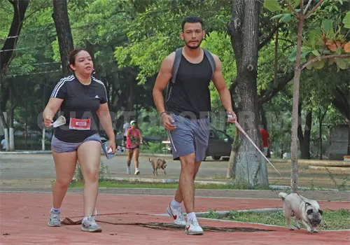 ¿Mascotas humanas? Hasta dónde es el límite ¿Mascotas humanas? Hasta dónde es el límite
