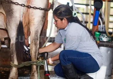Con vinculaci&oacute;n impulsan ganader&iacute;a sostenible