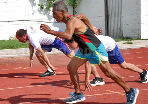 Se ponen en marcha las actividades