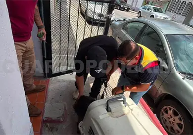 Rescatan a canino atrapado en inmueble