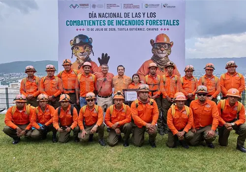 Contin&uacute;a a la baja superficie afectada por incendios