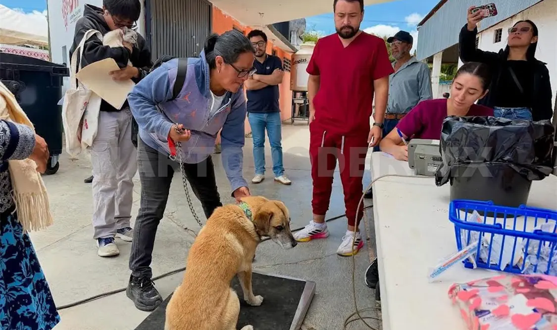 Buscan que propietarios de perros y gatos ejerzan una tenencia responsable. Manuel Martínez / CP