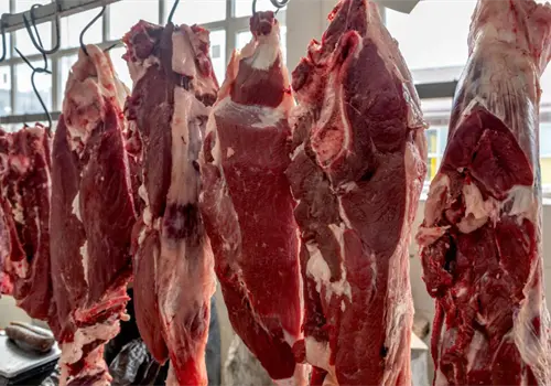 Cierre de frontera con EUA presiona al sector ganadero