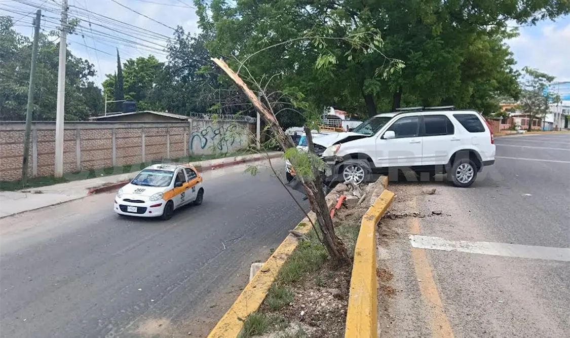Al perder el control de la unidad, se fue a estrellar en una luminaria y luego contra un árbol. Ulises Villalobos / CP