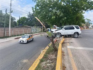 Se estampa camioneta contra luminaria y árbol Se estampa camioneta contra luminaria y árbol