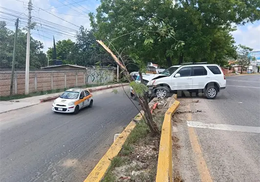 Se estampa camioneta contra luminaria y árbol Se estampa camioneta contra luminaria y árbol