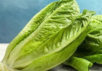 EE. UU. retira lechuga producida en M&eacute;xico
