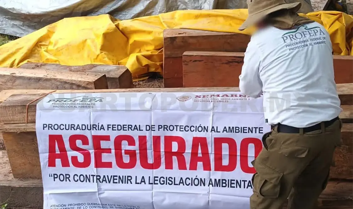 Aspecto del aseguramiento de la madera. CP