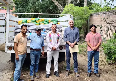 Distribuyen semillas de maíz y frijol certificado Distribuyen semillas de maíz y frijol certificado